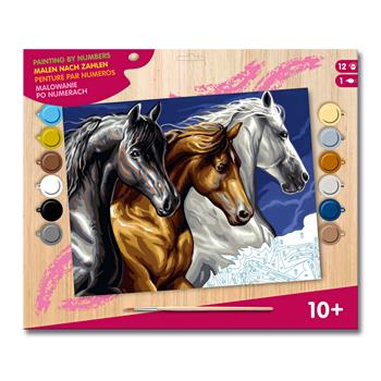 Peinture par numéros – Chevaux sauvages